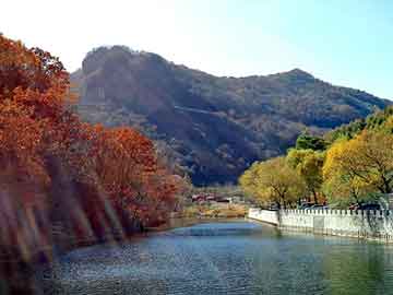 新澳天天开奖资料大全旅游团，明基笔记本电脑维修